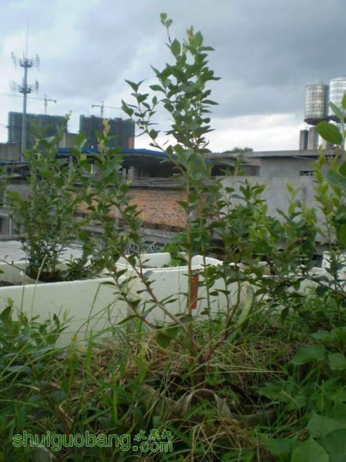 P8230027.jpg