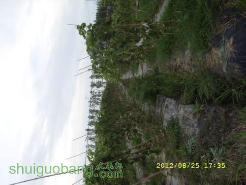 SL273224.JPG