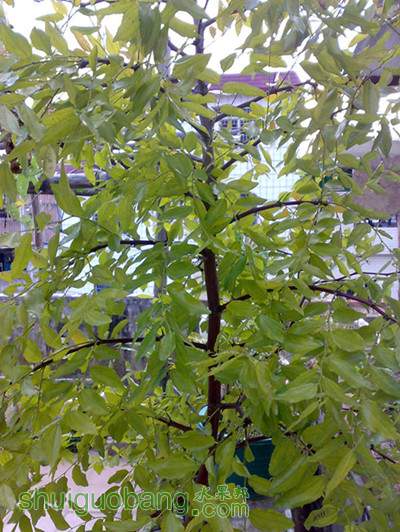 20120826287_����_����_����.jpg