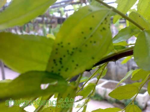 20120826288_����.jpg