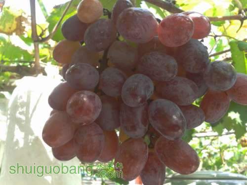 2012-08-25 13.43.16.jpg