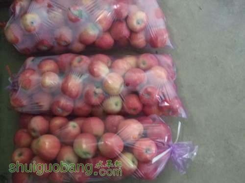 20120827մ 001.jpg