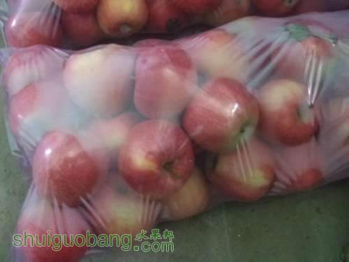 20120827մ 002.jpg