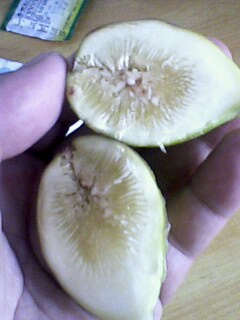 IMG08261601aa.jpg