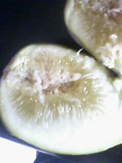 IMG08280736aa.jpg