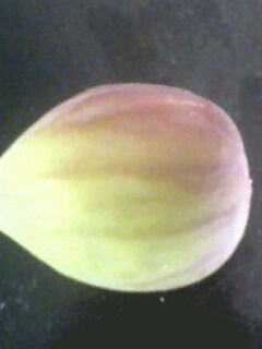 IMG08280732ab.jpg