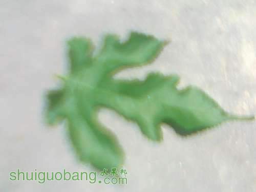 20120828070.jpg