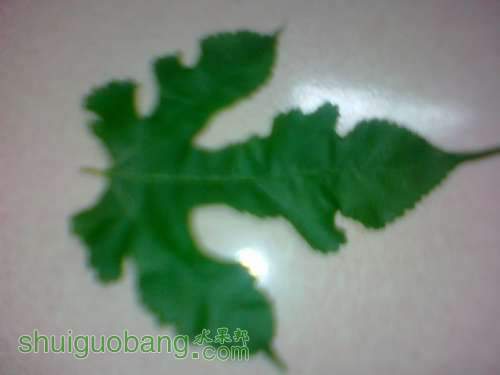 20120828075.jpg