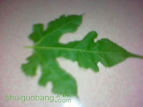 20120828077.jpg