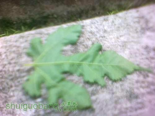 20120828079.jpg