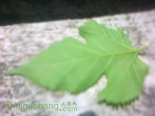 20120828081.jpg