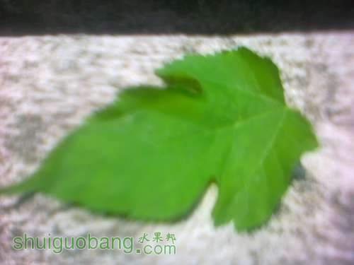 20120828080.jpg