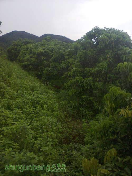 ��Ƭ0227a.jpg