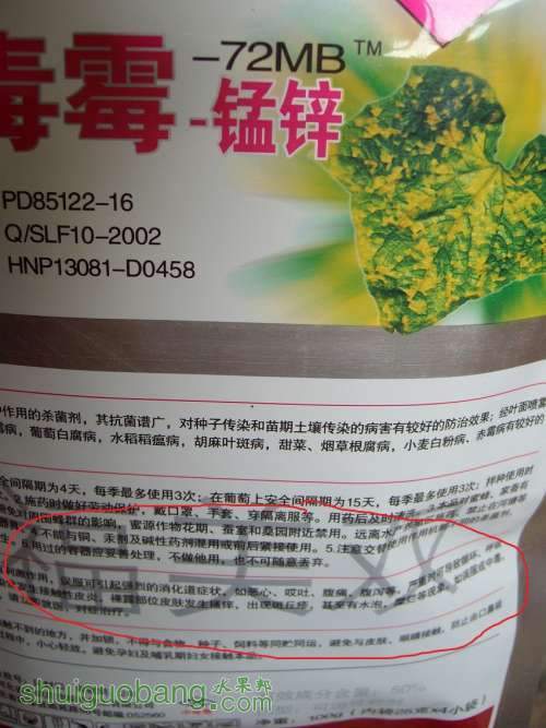 SANY1059.JPG