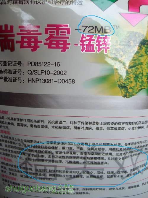 SANY1058.JPG