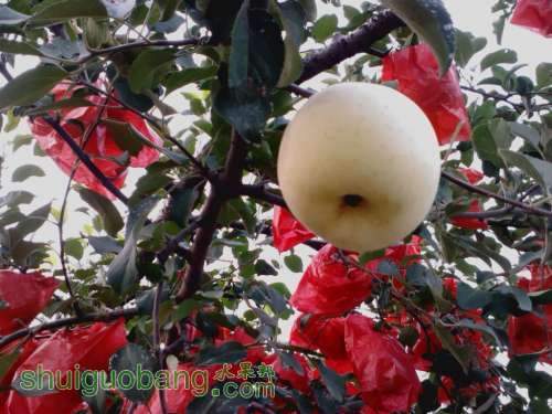 IMG_20120829_173957_0.jpg