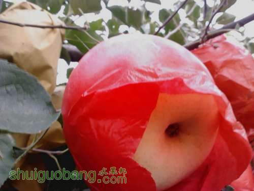 IMG_20120829_174248_0.jpg