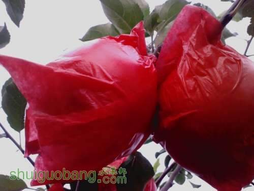 IMG_20120829_180027_0.jpg