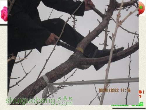 õƬ256.jpg