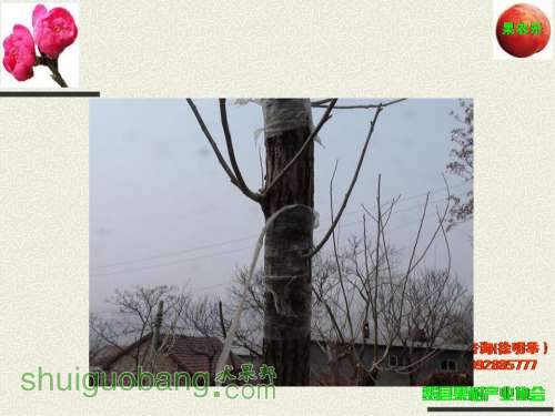 õƬ284.jpg