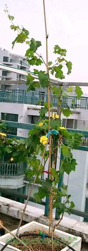 DSC06110.JPG