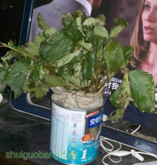 δ.jpg