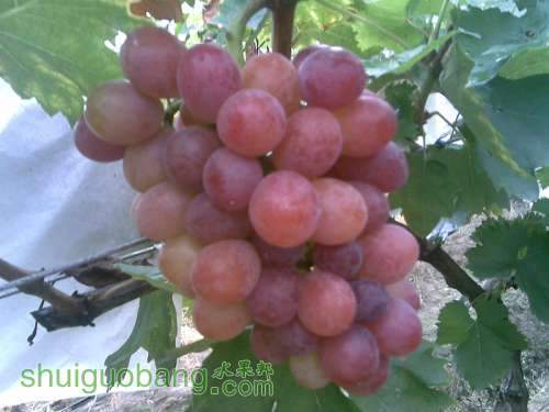 20120904.jpg