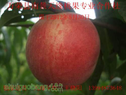 Ե530 001_.jpg