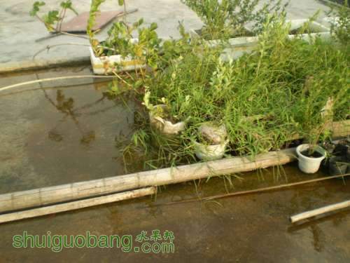 P9020014.jpg