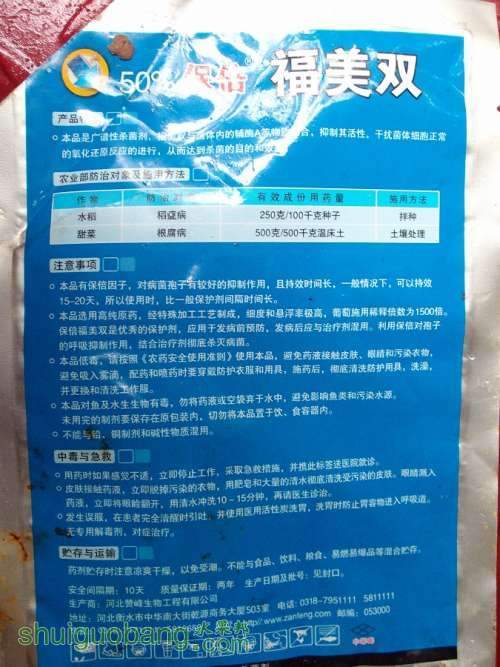 SANY1116.JPG
