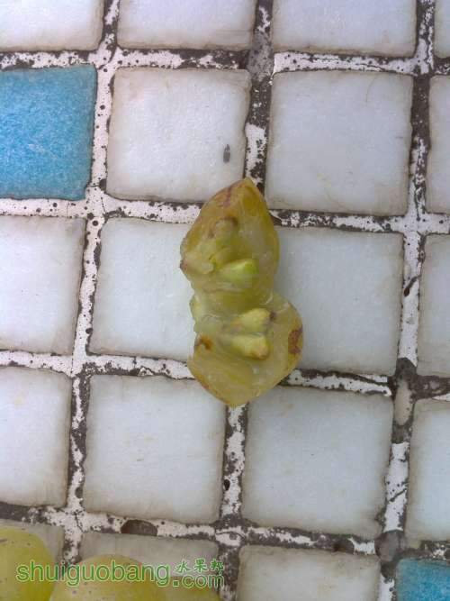ĺ˵޺˰׼.jpg