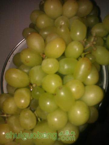 IMAG0421.jpg