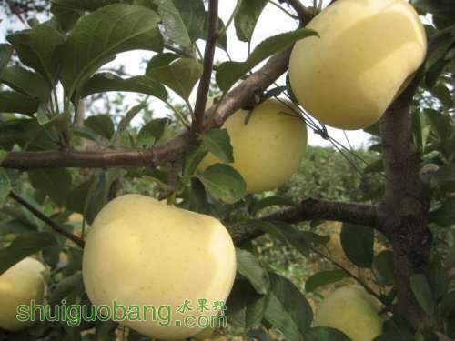 20120912�Ѵ���¼ 001.jpg