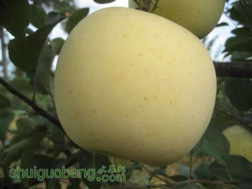 20120912�Ѵ���¼ 002.jpg