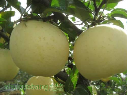 20120912�Ѵ���¼ 006.jpg
