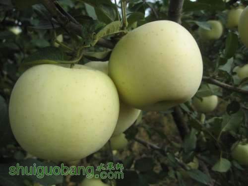 20120912�Ѵ���¼ 012.jpg