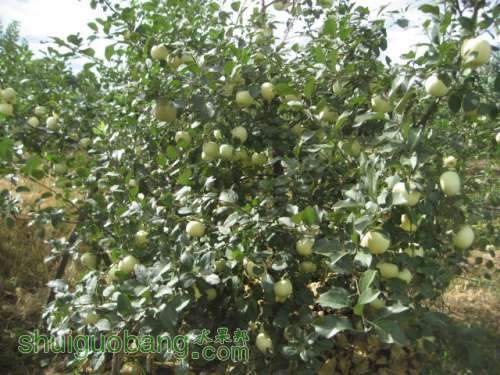 20120912�Ѵ���¼ 010.jpg