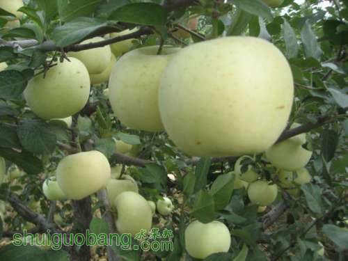 20120912�Ѵ���¼ 013.jpg