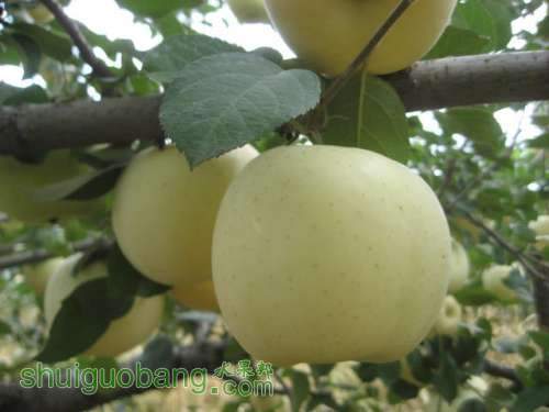 20120912�Ѵ���¼ 014.jpg