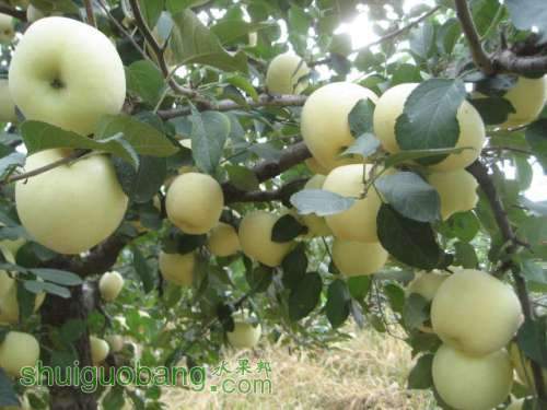 20120912�Ѵ���¼ 015.jpg