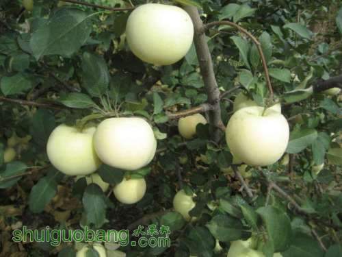 20120912�Ѵ���¼ 017.jpg