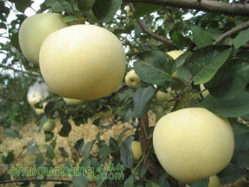20120912�Ѵ���¼ 018.jpg