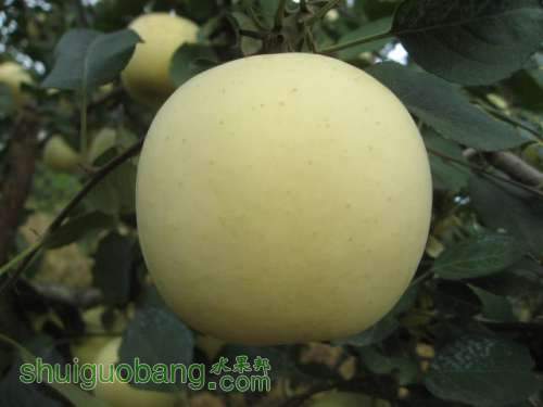 20120912�Ѵ���¼ 019.jpg