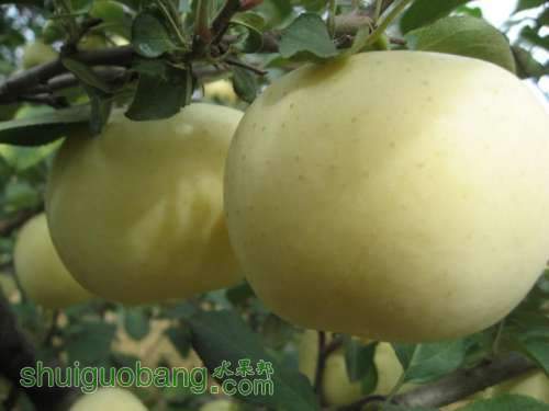 20120912�Ѵ���¼ 020.jpg