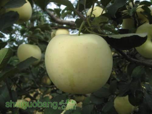 20120912�Ѵ���¼ 021.jpg
