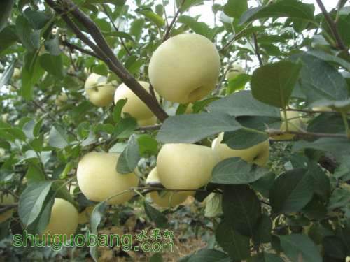 20120912�Ѵ���¼ 023.jpg