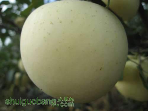 20120912�Ѵ���¼ 024.jpg