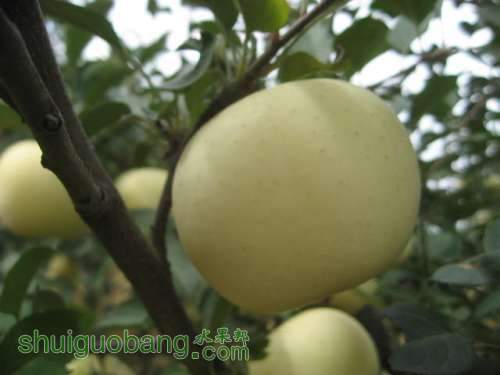20120912�Ѵ���¼ 025.jpg