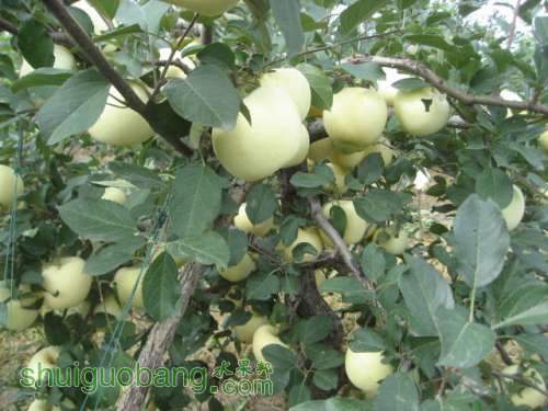 20120912�Ѵ���¼ 026.jpg