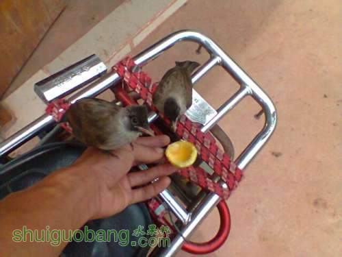 ��Ƭ0331.jpg